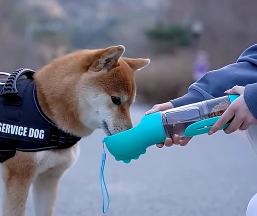 Gourde 3-en-1 Portable pour Chien – Distributeur d'Eau et Nourriture