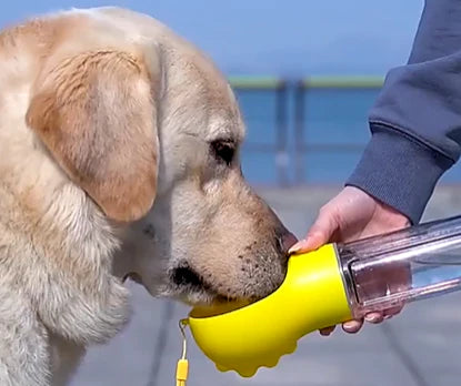 Gourde 3-en-1 Portable pour Chien – Distributeur d'Eau et Nourriture